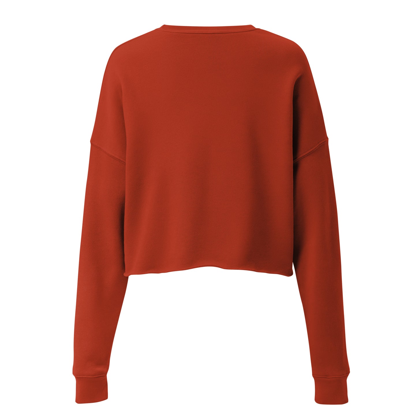 Fly High Voyager Women's Crop Sweatshirt - Brick - FLAKOUT